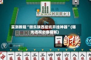 实测教程“微乐陕西挖坑开挂神器”(曝光透视必备猫腻)
