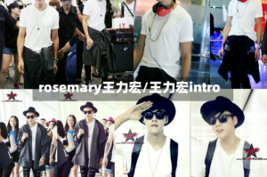 rosemary王力宏/王力宏intro
