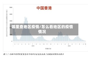 哪里查地区疫情/怎么看地区的疫情情况