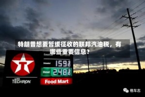 特朗普想要暂缓征收的联邦汽油税，有哪些重要信息？