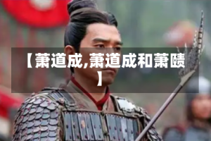 【萧道成,萧道成和萧赜】