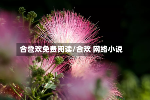 合卺欢免费阅读/合欢 网络小说
