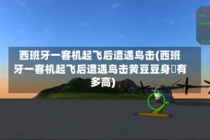 西班牙一客机起飞后遭遇鸟击(西班牙一客机起飞后遭遇鸟击黄豆豆身髙有多高)