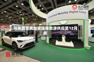 马来西亚将加紧保障能源供应至12月底