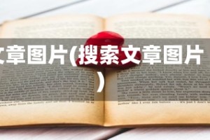 文章图片(搜索文章图片)