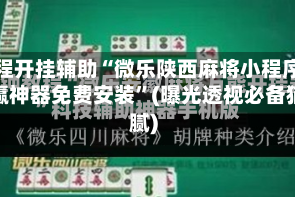 教程开挂辅助“微乐陕西麻将小程序必赢神器免费安装”(曝光透视必备猫腻)