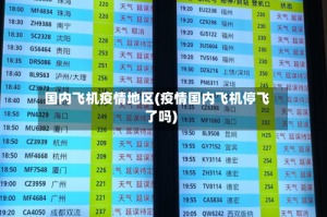 国内飞机疫情地区(疫情国内飞机停飞了吗)