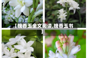 【晚香玉全文阅读,晚香玉书】