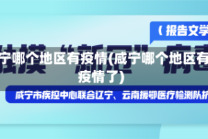 咸宁哪个地区有疫情(咸宁哪个地区有疫情了)