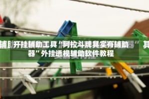 开挂辅助工具“阿拉斗牌其实有辅助器”外挂透视辅助软件教程