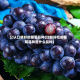 公认口感好的葡萄品种(比较好吃的葡萄品种是什么品种)