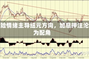 风险情绪主导纽元方向，加息押注沦为配角