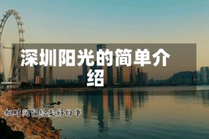 深圳阳光的简单介绍
