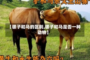 【骡子和马的区别,骡子和马是否一种动物】