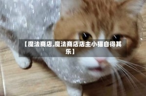 【魔法商店,魔法商店店主小猫自得其乐】