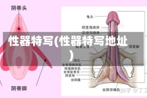 性器特写(性器特写地址)