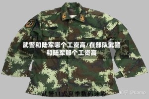 武警和陆军哪个工资高/在部队武警和陆军那个工资高
