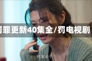 罚罪更新40集全/罚电视剧