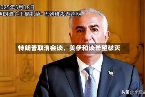 特朗普取消会谈，美伊和谈希望破灭