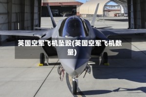 英国空军飞机坠毁(英国空军飞机数量)