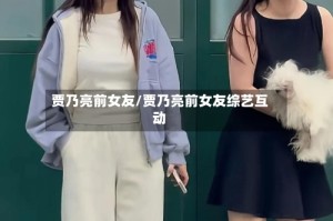 贾乃亮前女友/贾乃亮前女友综艺互动