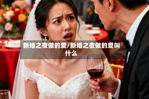 新婚之夜做的爱/新婚之夜做的爱叫什么