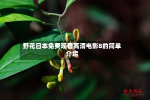 野花日本免费观看高清电影8的简单介绍