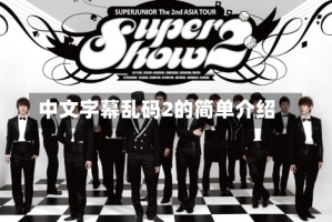 中文字幕乱码2的简单介绍