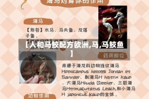 【人和马鲛配方欧洲,马,马鲛鱼】