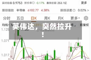 英伟达，突然拉升！