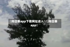 卍向日葵app下载网址进入卍/卍向日葵app卐