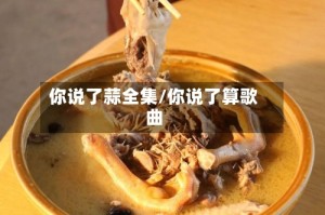 你说了蒜全集/你说了算歌曲