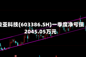 骏亚科技(603386.SH)一季度净亏损2045.05万元