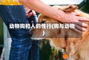 动物狗和人的性行(狗与动物)