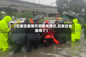 【石家庄暴雨开启看海模式,石家庄也暴雨了】