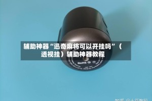 辅助神器“迅奇麻将可以开挂吗”（透视挂）辅助神器教程