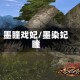 墨瞳戏妃/墨染妃瞳