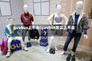 guvbus上不去(gavbus怎么上不去)