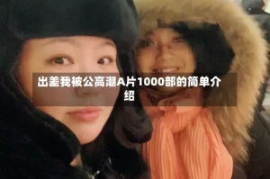 出差我被公高潮A片1000部的简单介绍