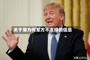 关于薄为何军方不支持的信息