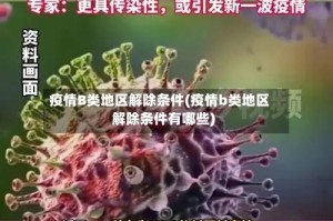 疫情B类地区解除条件(疫情b类地区解除条件有哪些)