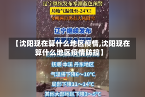 【沈阳现在算什么地区疫情,沈阳现在算什么地区疫情防控】