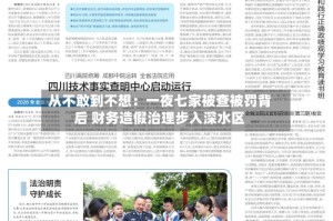 从不敢到不想：一夜七家被查被罚背后 财务造假治理步入深水区