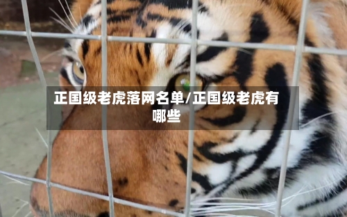 正国级老虎落网名单/正国级老虎有哪些-第2张图片