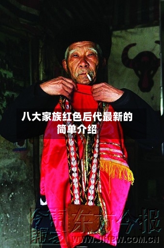 八大家族红色后代最新的简单介绍-第1张图片