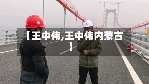 【王中伟,王中伟内蒙古】-第1张图片