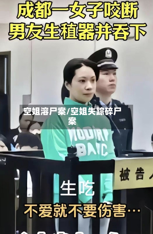 空姐溶尸案/空姐失踪碎尸案-第2张图片