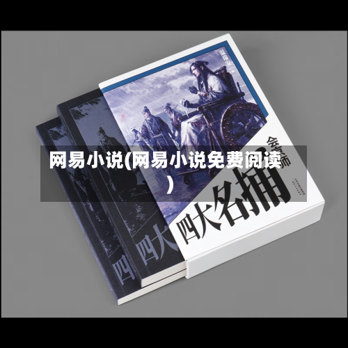 网易小说(网易小说免费阅读)-第2张图片