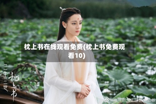 枕上书在线观看免费(枕上书免费观看10)-第2张图片