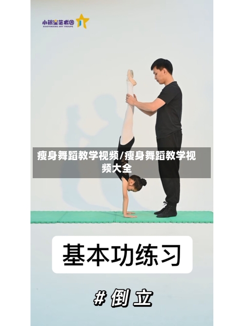 瘦身舞蹈教学视频/瘦身舞蹈教学视频大全-第1张图片